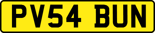 PV54BUN