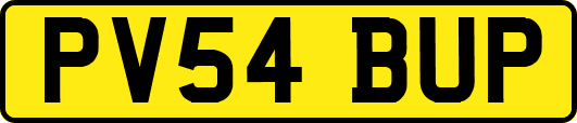 PV54BUP