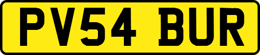 PV54BUR