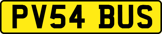PV54BUS