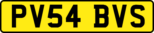 PV54BVS