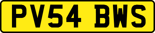 PV54BWS