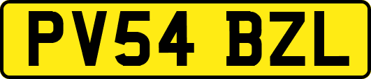 PV54BZL