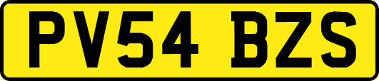 PV54BZS