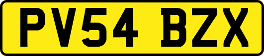PV54BZX