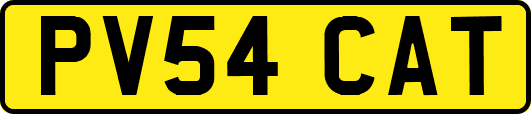 PV54CAT