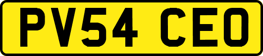 PV54CEO