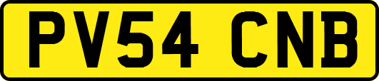 PV54CNB