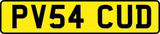 PV54CUD