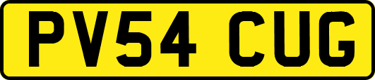 PV54CUG