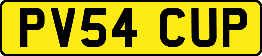 PV54CUP