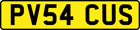 PV54CUS