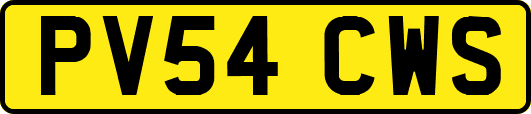 PV54CWS