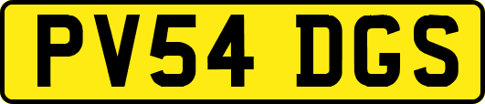 PV54DGS