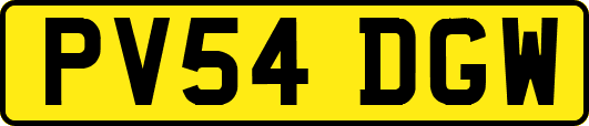 PV54DGW