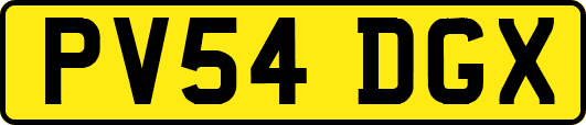 PV54DGX