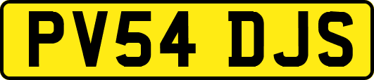 PV54DJS
