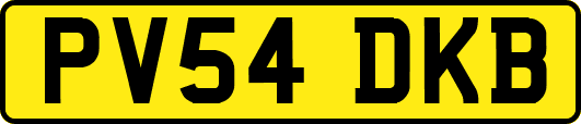 PV54DKB