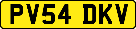 PV54DKV
