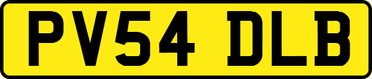 PV54DLB