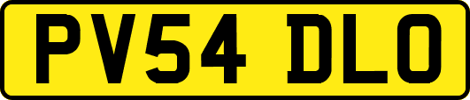 PV54DLO