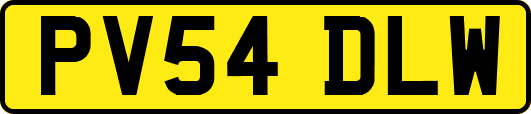 PV54DLW