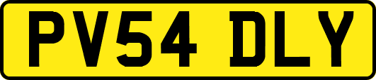 PV54DLY