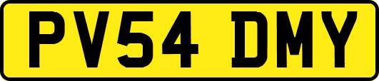 PV54DMY