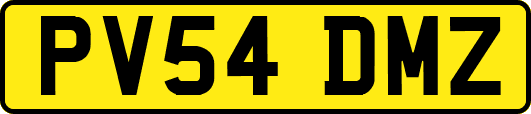PV54DMZ