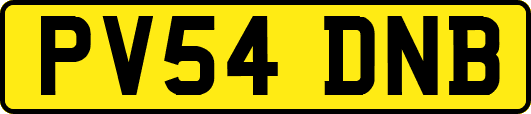 PV54DNB