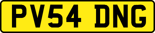 PV54DNG
