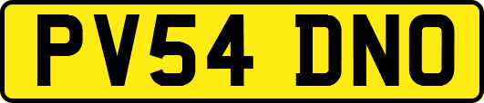 PV54DNO