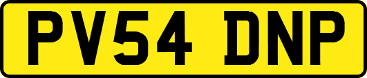 PV54DNP
