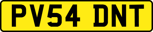 PV54DNT