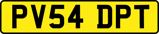 PV54DPT