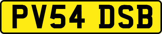 PV54DSB