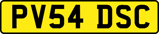 PV54DSC