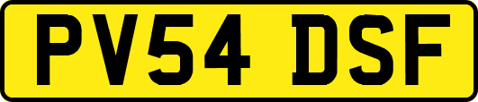 PV54DSF