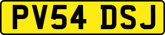 PV54DSJ