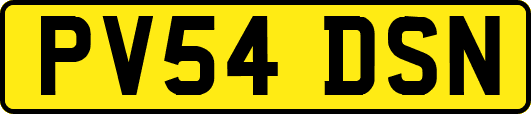 PV54DSN