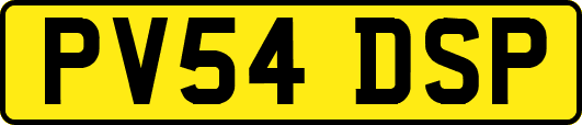 PV54DSP
