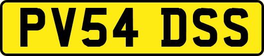 PV54DSS