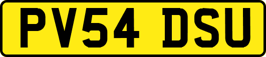 PV54DSU
