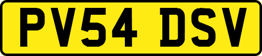 PV54DSV