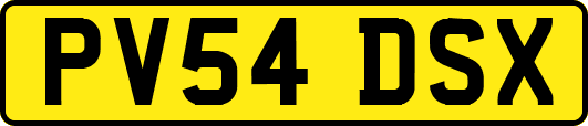 PV54DSX