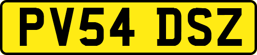 PV54DSZ