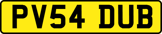 PV54DUB