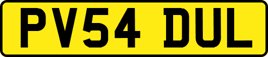 PV54DUL