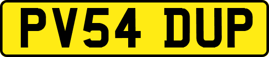 PV54DUP