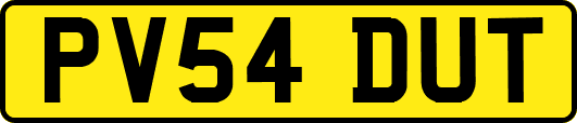 PV54DUT